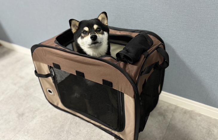 ゲートやケージをうまく活用して物理的に遮断